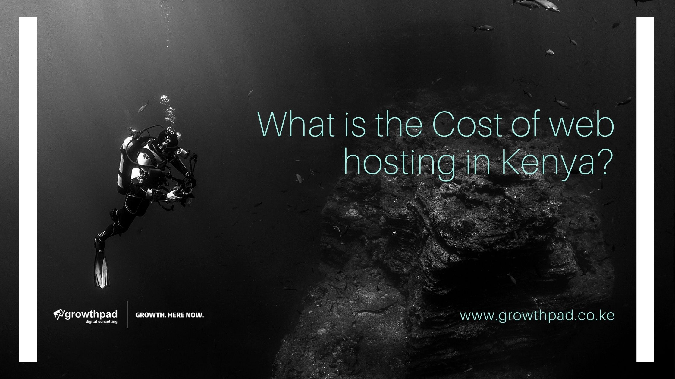 cost of web hosting in kenya